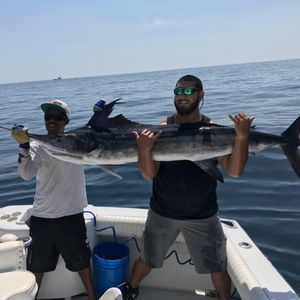 Meet your Posher, Dino